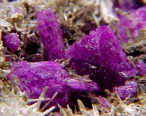 Sugilite Mineral